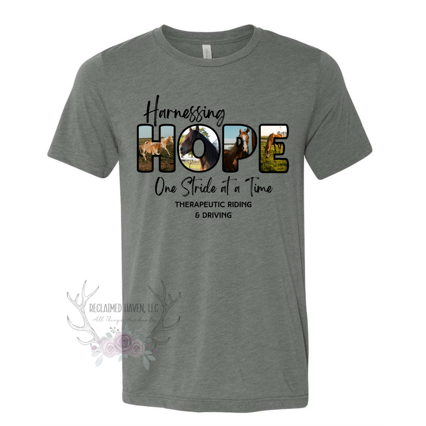 The Famous Horses of Harnessing Hope